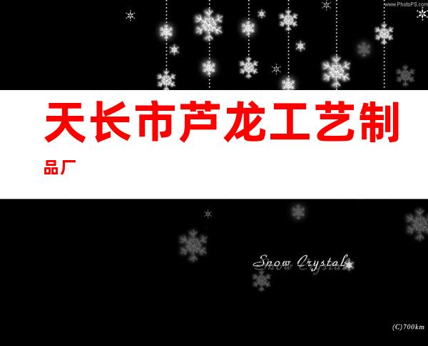 天长市芦龙工艺制品厂